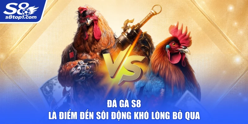 Đá Gà S8 là điểm đến sôi động khó lòng bỏ qua