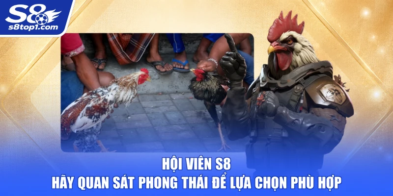 Hội viên S8 hãy quan sát phong thái để lựa chọn phù hợp